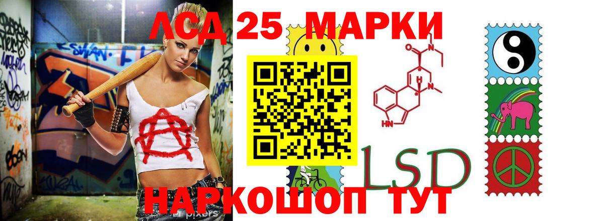 Лсд 25 экстази ecstasy  Вход с VPN  ЛСД экстази ecstasy  omg рабочий сайт  Новозыбков 