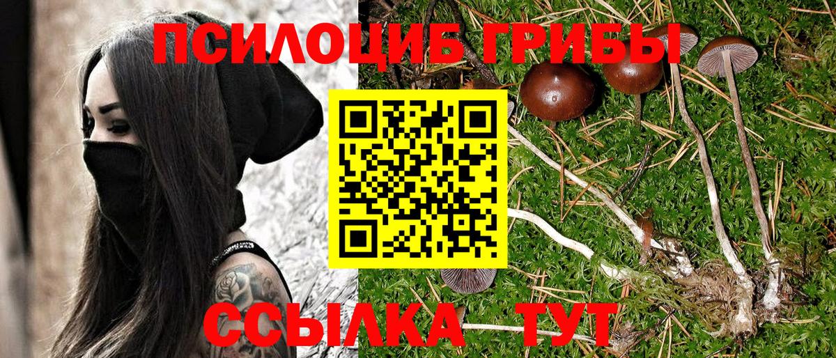 Псилоцибиновые грибы мухоморы  Вход с VPN  Новозыбков 